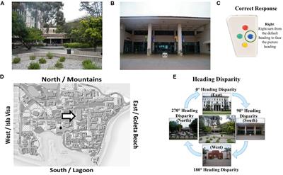 The Neural Basis of Individual Differences in Directional Sense